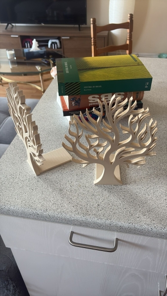 Click to view full screen Bois clair // Filament PLA, 1kg photo review